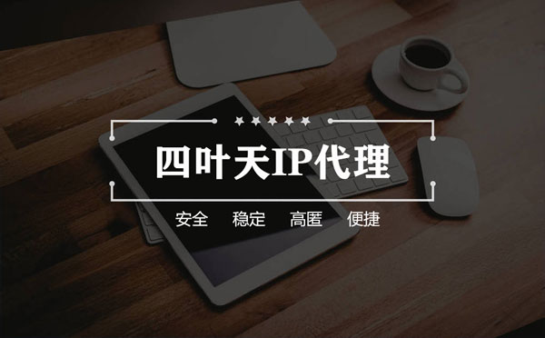 【荣成代理IP】如何快速搭建代理IP？怎么检查代理的效果？